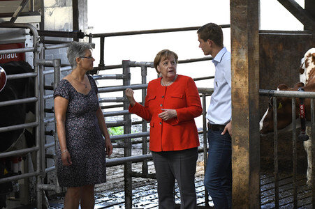 Angela Merkel besucht einen Milchbauernhof in Nienborstel