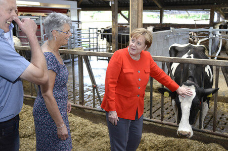 Angela Merkel besucht einen Milchbauernhof in Nienborstel