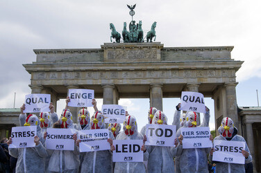 PETA Demonstration gegen Hühnerhaltung, Berlin
