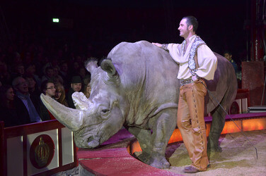 'Evolution' Weltpremiere im Circus Krone, München