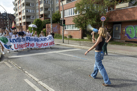 Bundesweiter Klimastreik von Fridays for Future in Hamburg