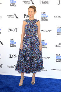 Film Independent Spirit Awards 2016 in Santa Monica