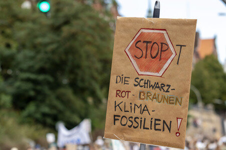 Bundesweiter Klimastreik von Fridays for Future in Hamburg