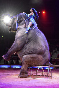 Circus Krone Premiere in München