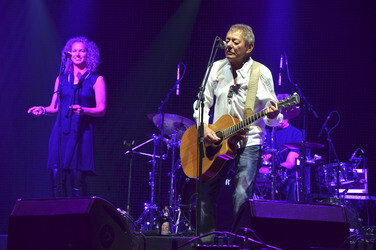 Konzert von Wolfgang Ambros auf dem Tollwood-Festival in München