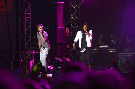 Stars For Free 2015 in Hannover