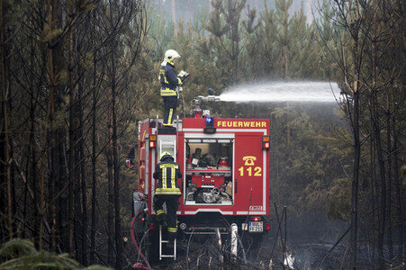 Waldbrandbekämpfung bei Treuenbrietzen
