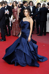 'Carol' Premiere, Cannes Film Festival 2015