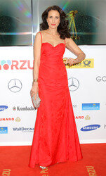 Goldene Kamera 2014, Berlin