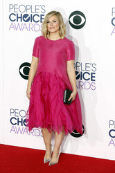 41. People's Choice Awards, Los Angeles