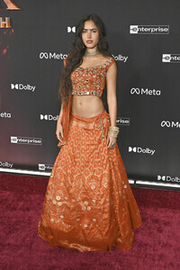 Filmpremiere 'Avatar: Fire and Ash' in Los Angeles