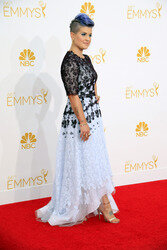 66. Primetime Emmy Awards, Los Angeles