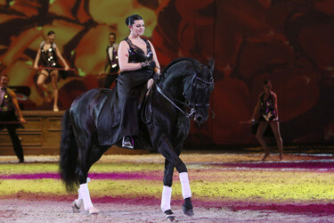 Apassionata Show 'Die goldene Spur', Dortmund