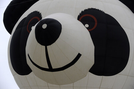 35. QuickChek New Jersey Festival of Ballooning in Readington