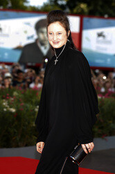 'Birdman' Premiere, Biennale 2014
