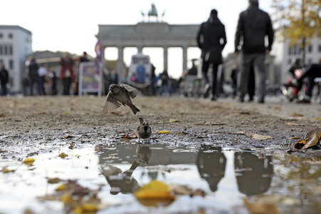 Das Brandenburger Tor in Berlin im Herbst