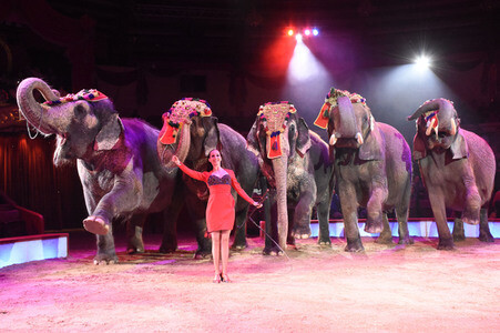 Premiere 3. Winterprogramm 2018 des Circus Krone in München
