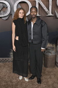 Serienpremiere 'The Abandons' in Los Angeles