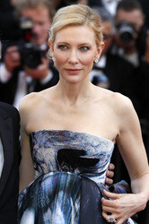 'Carol' Premiere, Cannes Film Festival 2015