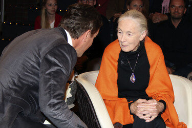 'Markus Lanz' Talkshow, Hamburg