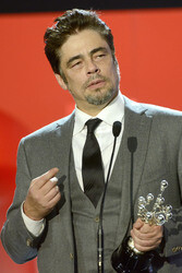 Donostia Award für Benicio Del Toro, San Sebastian Film Festival 2014