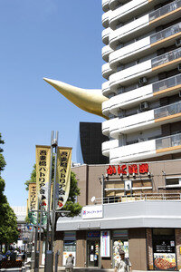 Sightseeing Tokio