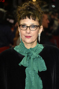'Maggie's Plan' Premiere, Berlinale 2016