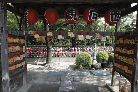 Sightseeing Tokio