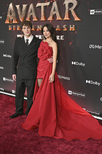 Filmpremiere 'Avatar: Fire and Ash' in Los Angeles