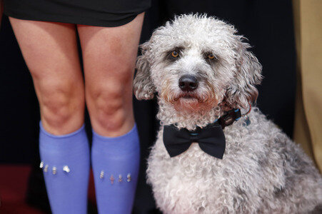 Filmpremiere 'Babystar', Filmfest Hamburg 2025