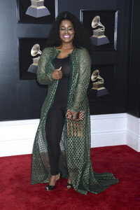 60. Grammy Awards in New York