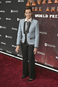 Filmpremiere 'Avatar: Fire and Ash' in Los Angeles