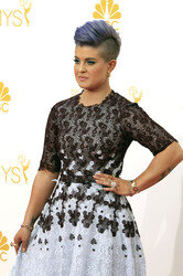 66. Primetime Emmy Awards, Los Angeles