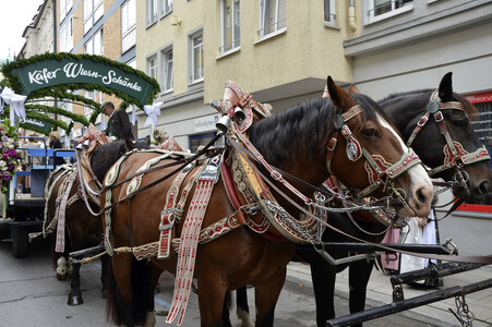 Wiesn-Einzug der Festwirte und Brauereien in München
