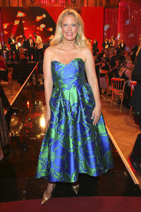 Romy Gala 2017 in Wien