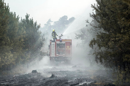 Waldbrandbekämpfung bei Treuenbrietzen