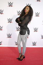 WWE Live Wrestling Event, Hamburg