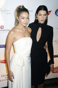 Global Lyme Alliance Gala 2015 in New York