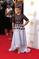 66. Primetime Emmy Awards, Los Angeles