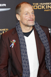 Filmpremiere 'Die Tribute von Panem - Mockingjay: Teil 2' in Los Angeles