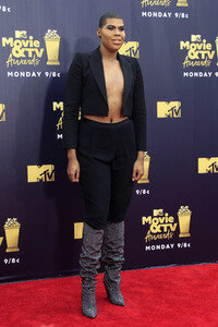 MTV Movie & TV Awards 2018 in Santa Monica