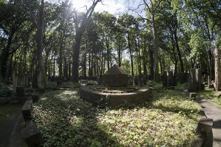 Symbolfoto Friedhof