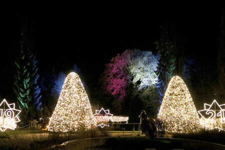 Eröffnung des Christmas Garden 2017 in Berlin