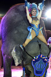 'Evolution' Weltpremiere im Circus Krone, München