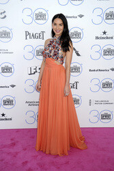Film Independent Spirit Awards 2015, Santa Monica