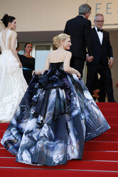 'Carol' Premiere, Cannes Film Festival 2015