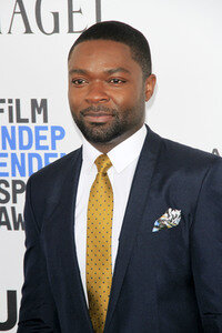 Film Independent Spirit Awards 2017 in Santa Monica