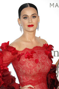 amfAR's Cinema Against Aids Gala, Cannes Film Festival 2016
