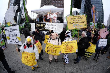 Demonstration 'Wir haben es Satt!' in Berlin