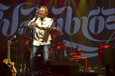 Konzert von Wolfgang Ambros auf dem Tollwood-Festival in München